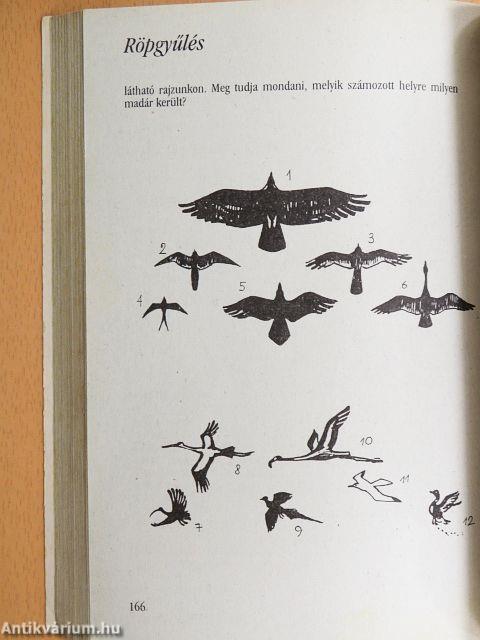 A végén minden kiderül