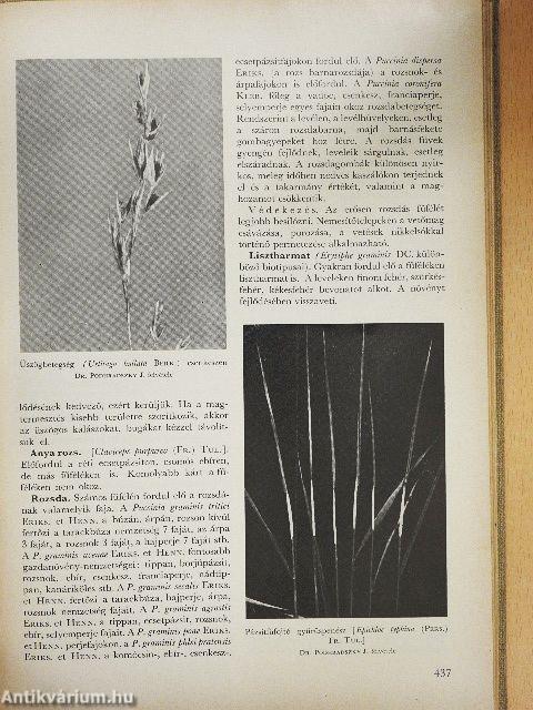 Növényvédelmi enciklopédia I.