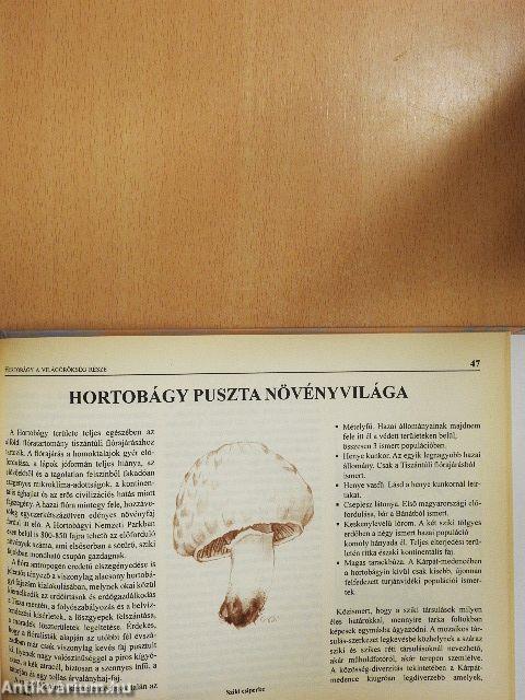 Hortobágy