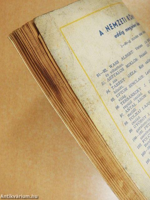 Dönk vitéz Rómában