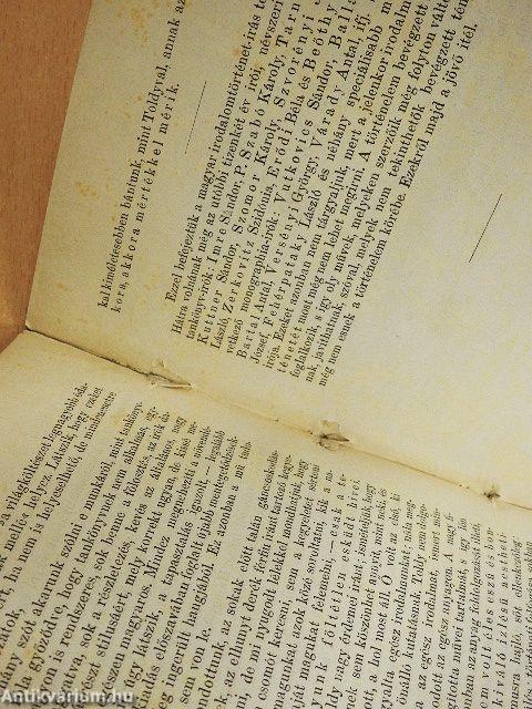 A magyar irodalomtörténet-irás ismertetése