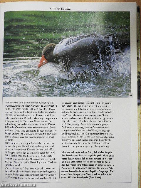 Zeichensprache der Natur