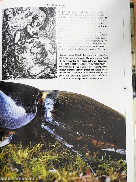 Zeichensprache der Natur