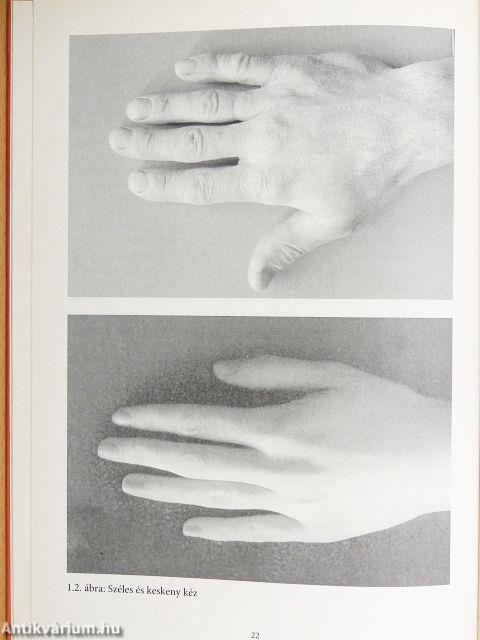 A tenyér és a horoszkóp