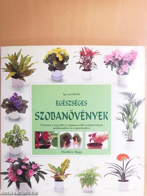 Egészséges szobanövények