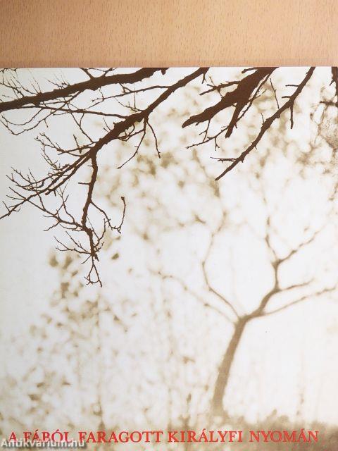 Változatok Bartók színpadi műveire I-III.