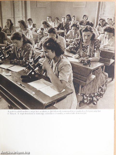 Épül szocialista hazánk