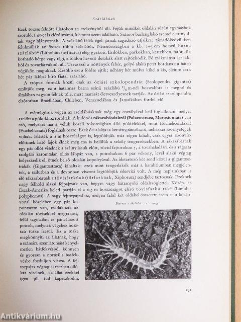 Brehm - Az állatok világa I-IV.