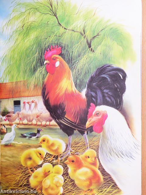 Képes állatkönyvem