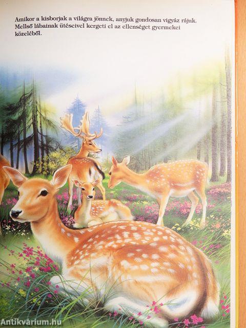 Képes állatkönyvem