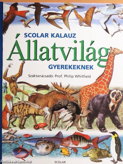 Állatvilág gyerekeknek