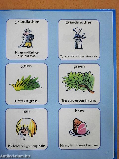 Dictionnaire Vocal Francais-Anglais/Anglais-Francais - CD-vel