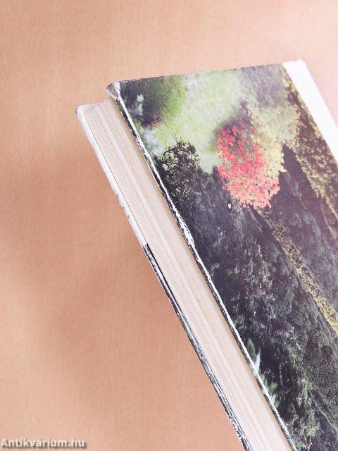 A kert élő díszei