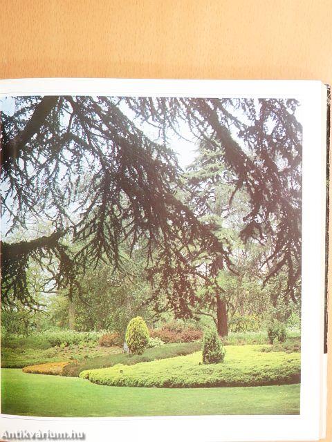 A kert élő díszei