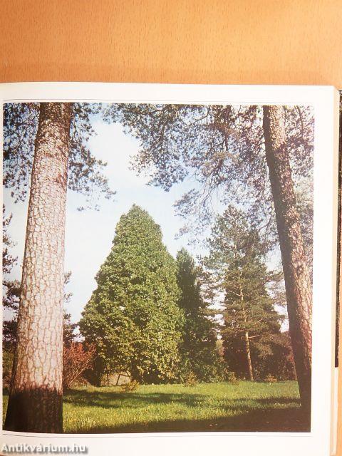 A kert élő díszei