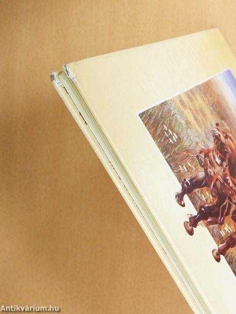 Egyszer egy királyfi...