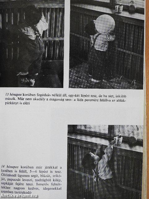 Anyák könyve
