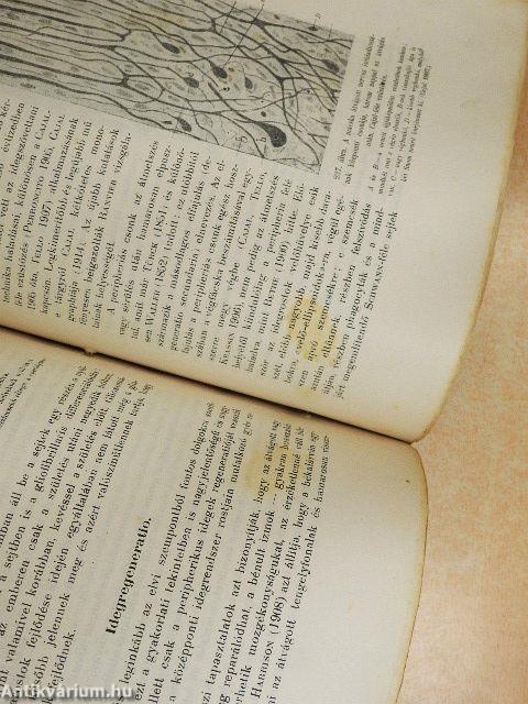 A sejt és a szövetek