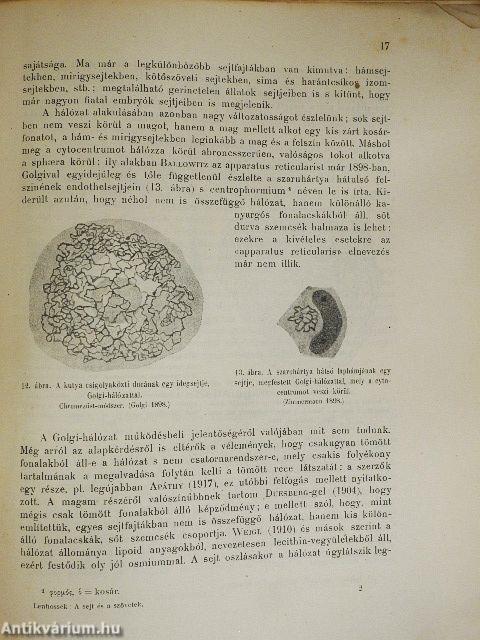 A sejt és a szövetek