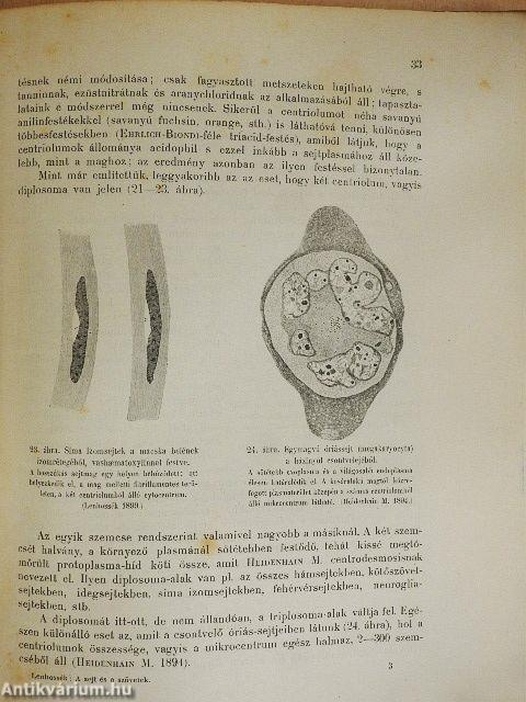 A sejt és a szövetek