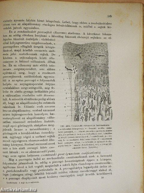 A sejt és a szövetek