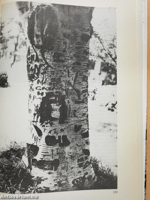 Elemek (dedikált példány)