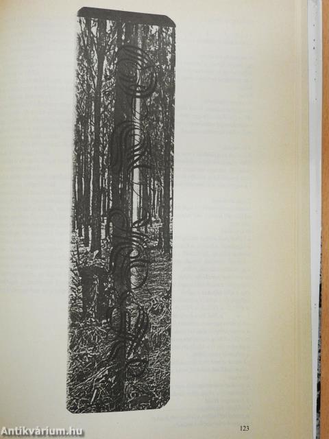 Elemek (dedikált példány)