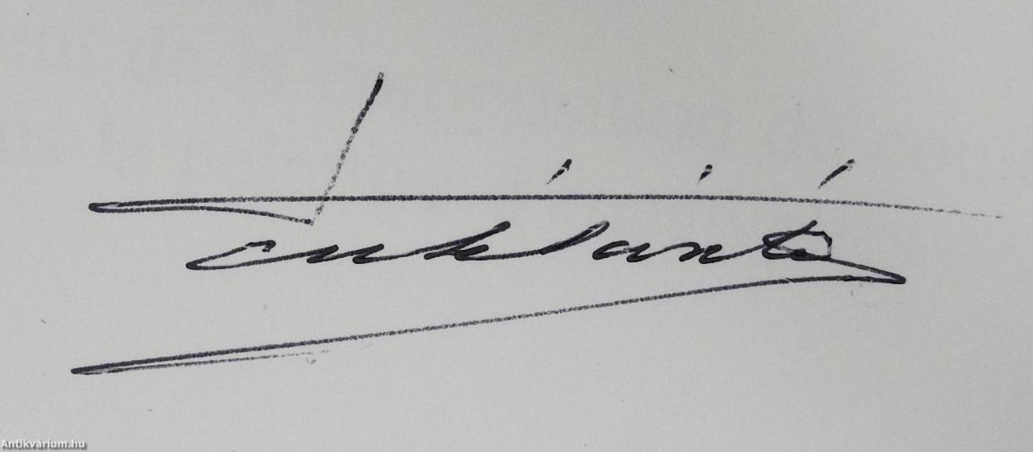 Anaglyphenmalerei peinture d'anaglyphes anaglyph painting (aláírt példány)