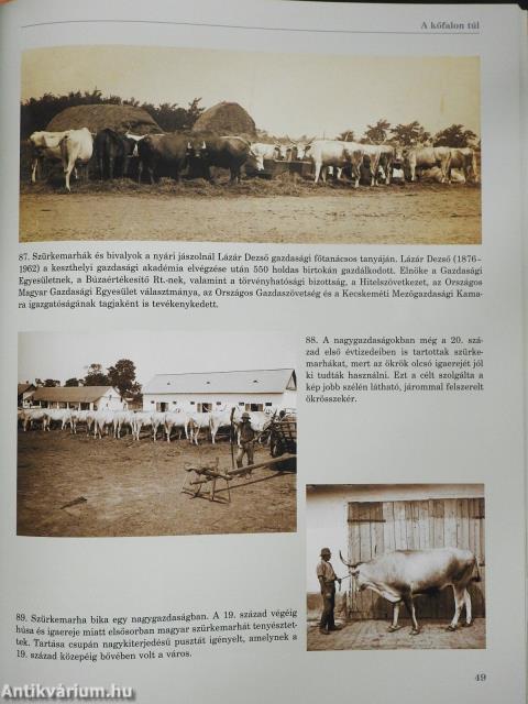 Hódmezővásárhely anno... (dedikált példány)