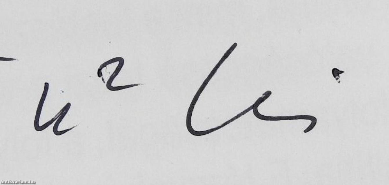 Hegedűs 2 Fotó (dedikált példány)