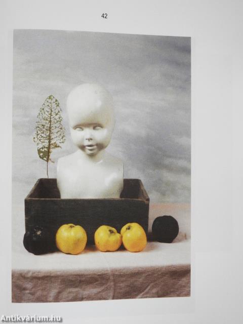 Hegedűs 2 Fotó (dedikált példány)