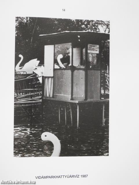 Hegedűs 2 Fotó (dedikált példány)