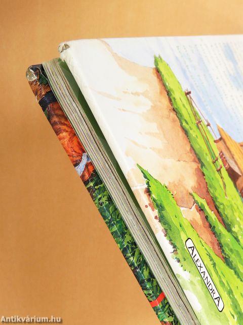 Kedvenc Grimm-meséim