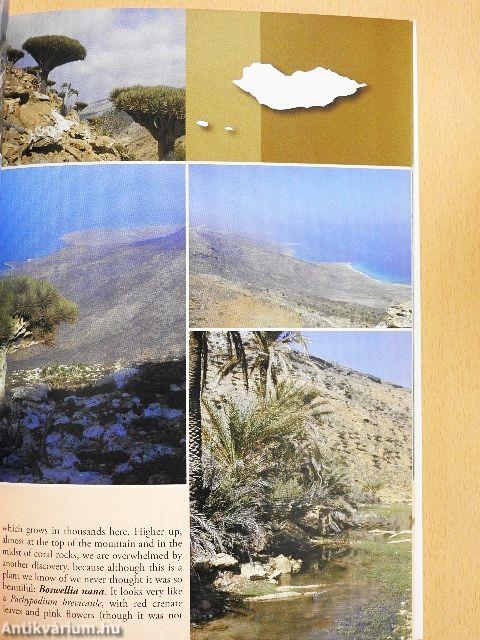 Socotra - The Lost Island