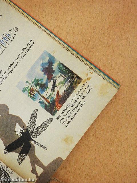 Az élet fejlődése képekben