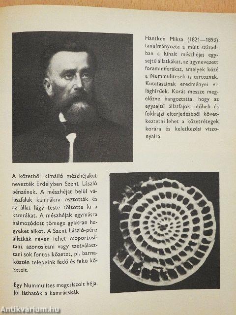 Az élet fejlődése képekben