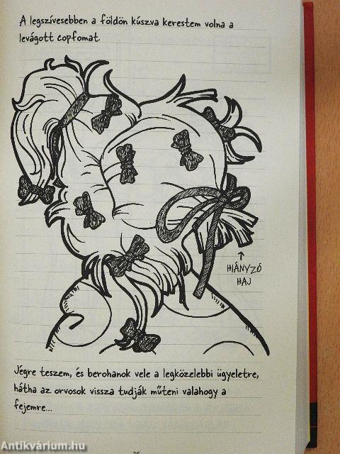 Egy zizi naplója 6.