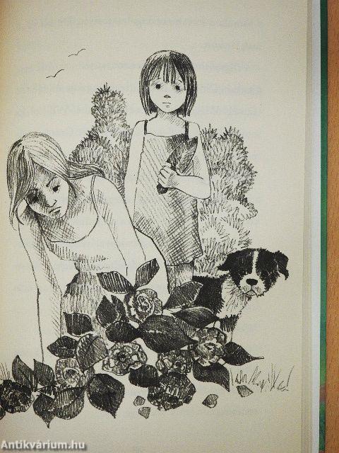 Gombóc, az elhagyatott kiskutya