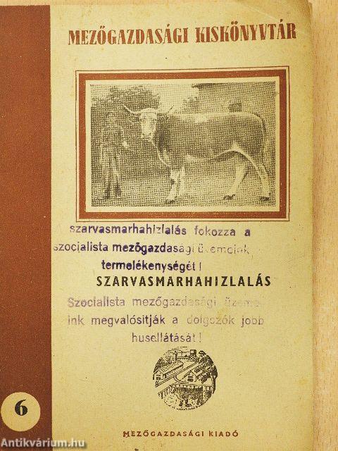 Szarvasmarhahizlalás