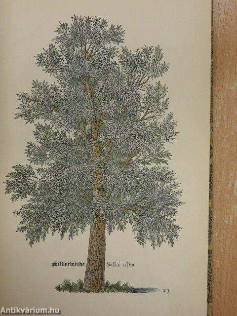 Das kleine Baumbuch (gótbetűs)