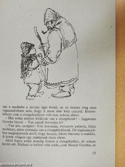 Kincskereső kisködmön