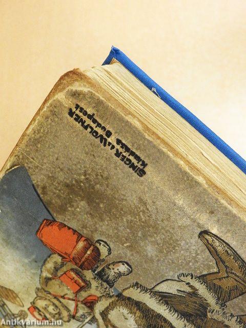 Tányértalpú koma a repülőgépen és az északi sarkon