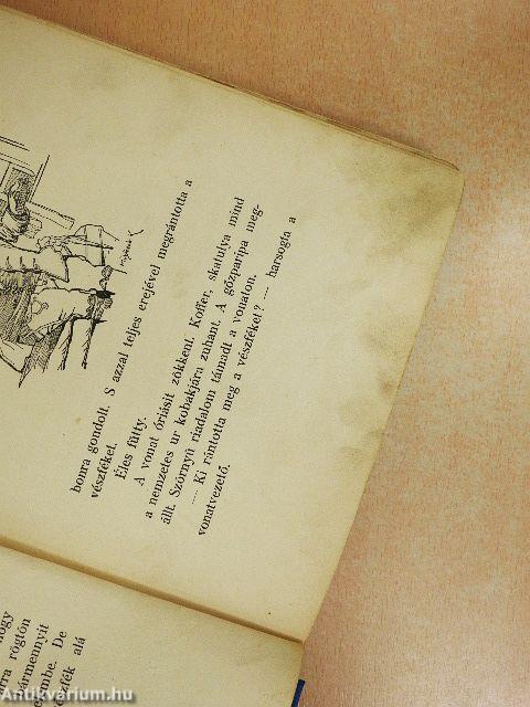 Tányértalpú koma a repülőgépen és az északi sarkon