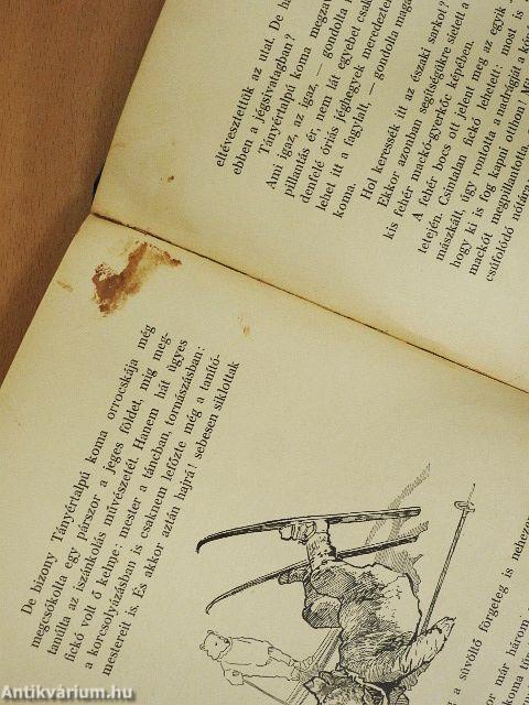 Tányértalpú koma a repülőgépen és az északi sarkon