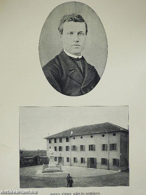 X. Pius pápa életének és uralkodásának története napjainkig