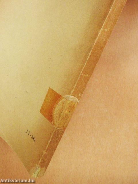 A szociológia története 1917-ig IV.