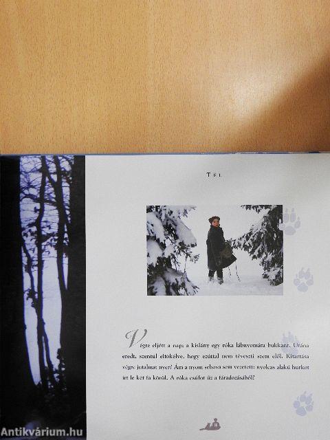 A róka és a gyerek