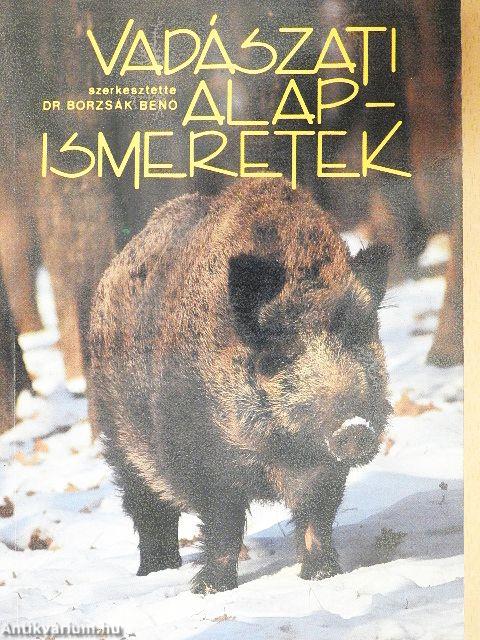 Vadászati alapismeretek