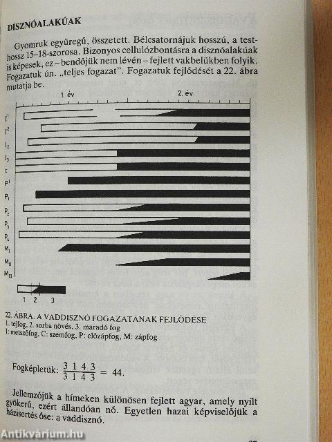 Vadászati alapismeretek