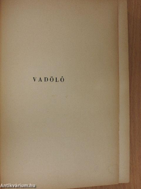 A nagy indiánuskönyv